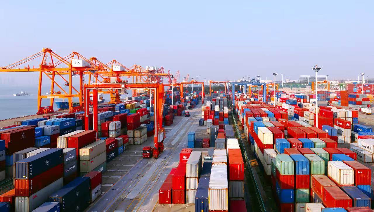 1764741739386489.jpg W020250218367460627261.jpg